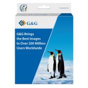 G&G kompatibilní ink s C13T945440, yellow, 5000str., NP-E-9454Y, pro Epson WF-C5210, C5290, C5710, C5790